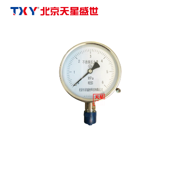 TXY833 不锈钢压力表