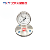 TXY833-GM 隔膜压力表